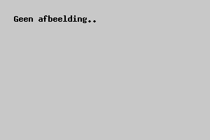 Karcher Staubsauger WD3